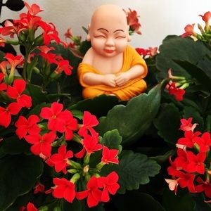 Meet your Posher, Anh-thu